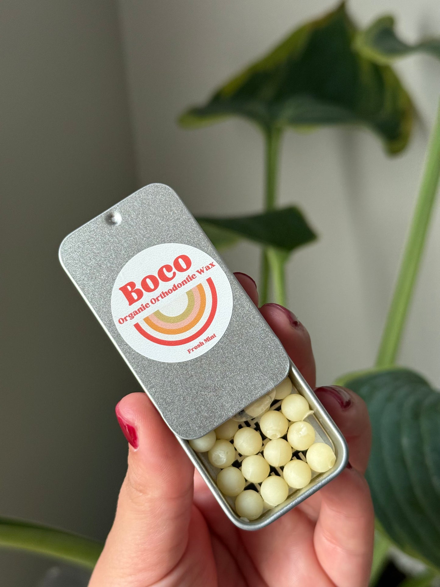 Boco Wax 3 Pack (ORANGE CLOVE)